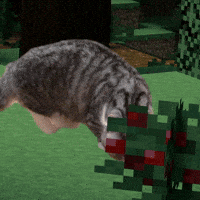 SingNO2 komaru minecraft cat GIF