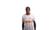 Red Bull Rbl Sticker by RB Leipzig
