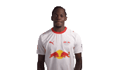 Red Bull Floss Sticker by RB Leipzig