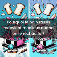 Amidon Rétrogradé GIF by ExpliquePourquoi.com