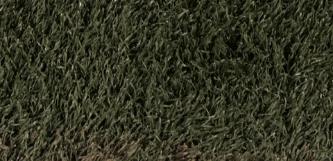 Womens Lacrosse GIF by Lafayette Leopards