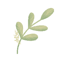 Tinker Bell Magic Sticker