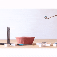 NVillustration animation bird birds stop motion GIF