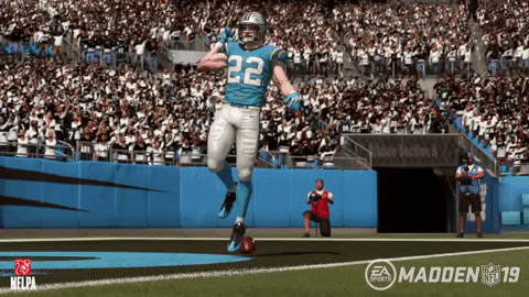 GIF by Carolina Panthers