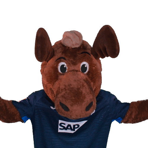 Fans Auf Gehts Sticker by TSG Hoffenheim