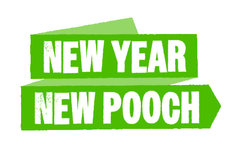 IPN-Barking-Heads giphyupload barking heads barkingheads new year new pooch Sticker