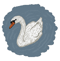 Art Summer Sticker by Betheny Waygood