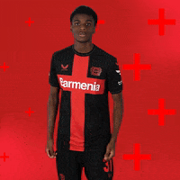 Happy Bayer 04 GIF by Bayer 04 Leverkusen