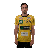 Handball Rnl Sticker by DAIKIN HBL