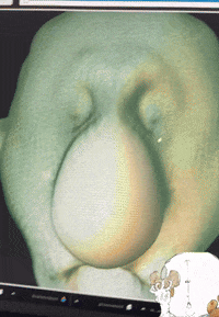 GIF by Alex Boya