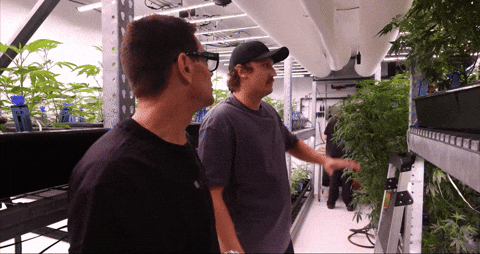 Bloom Andrew GIF by Exclusive Brands