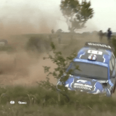 Erc Fail GIF by FIA European Rally Championship