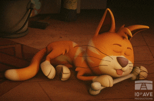 Cat Dreaming GIF by 10e Ave Productions