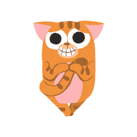 Sorry Cat Sticker