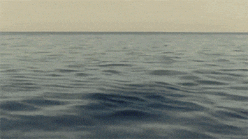 page forum GIF