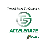 somaxagro ts accelerate semilla somaxagro Sticker