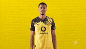 Borussia Dortmund Football GIF by Bundesliga