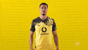 Borussia Dortmund Football GIF by Bundesliga