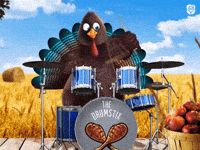 Thanksgiving Turkey GIF by AmericanGreetings.com