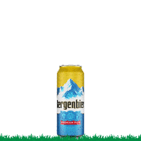 Bergenbier football sport friends beer Sticker