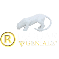 Geniale geniale genialevasos geniale genialevasos Sticker