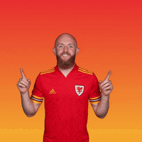Uefa Euro 2020 Football GIF by UEFA