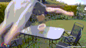 rad hat GIF