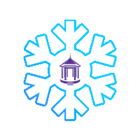 South Carolina Snow Sticker