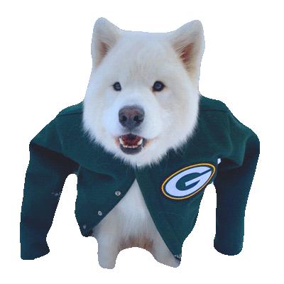 Packers Lambeau Sticker