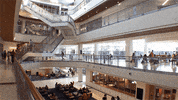 uf reitz people GIF by University of Florida
