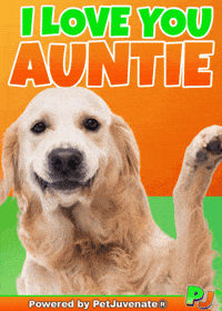 Valentines Day Love GIF by PetJuvenate - PJ