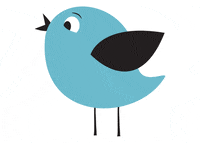morningbird morningbird GIF