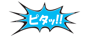xjamjam pita xjam Sticker