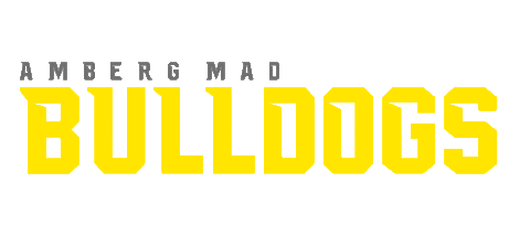Americanfootball Sticker by Amberg Mad Bulldogs