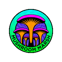 Beyond Wonderland Mushroom Sticker by Insomniac Events