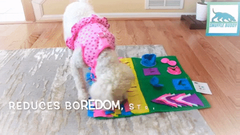 snufflebuddy giphygifmaker GIF