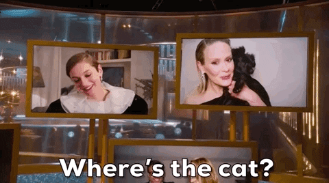 Sarah Paulson Cat GIF by Golden Globes