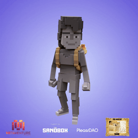 OwnTheDogeWow giphyupload GIF