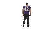 Football Nfl Sticker by autumnlakehealthcare