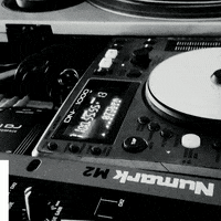 UnfamousFest music fun yoga los angeles GIF