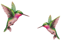 coffee vogel Sticker by Gala von Eduscho