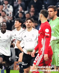 Beşiktaş GIF