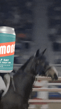Show Jumping Horse GIF by Harmon's Non-Alc Craft Beer
