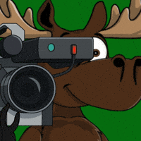 Recording Camera Man GIF by DoYouMoose