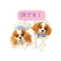 Dogs Cavalierkingcharlesspaniel Sticker