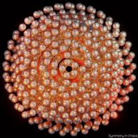 symmetryinchaos abstract #pattern #3d #blender #art GIF