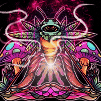 Weed GIF by MARDYCOLOR