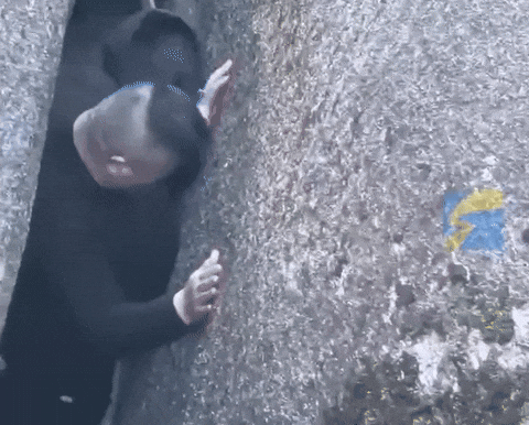 58d4b6a0e8004dd6a499524384e88c9f giphyupload GIF