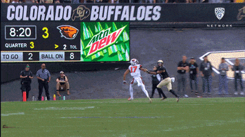 Football Touchdown GIF by Pac-12 Network