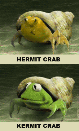 crab kermit GIF